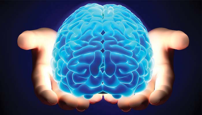 De Ce Este Special Creierul Omului?